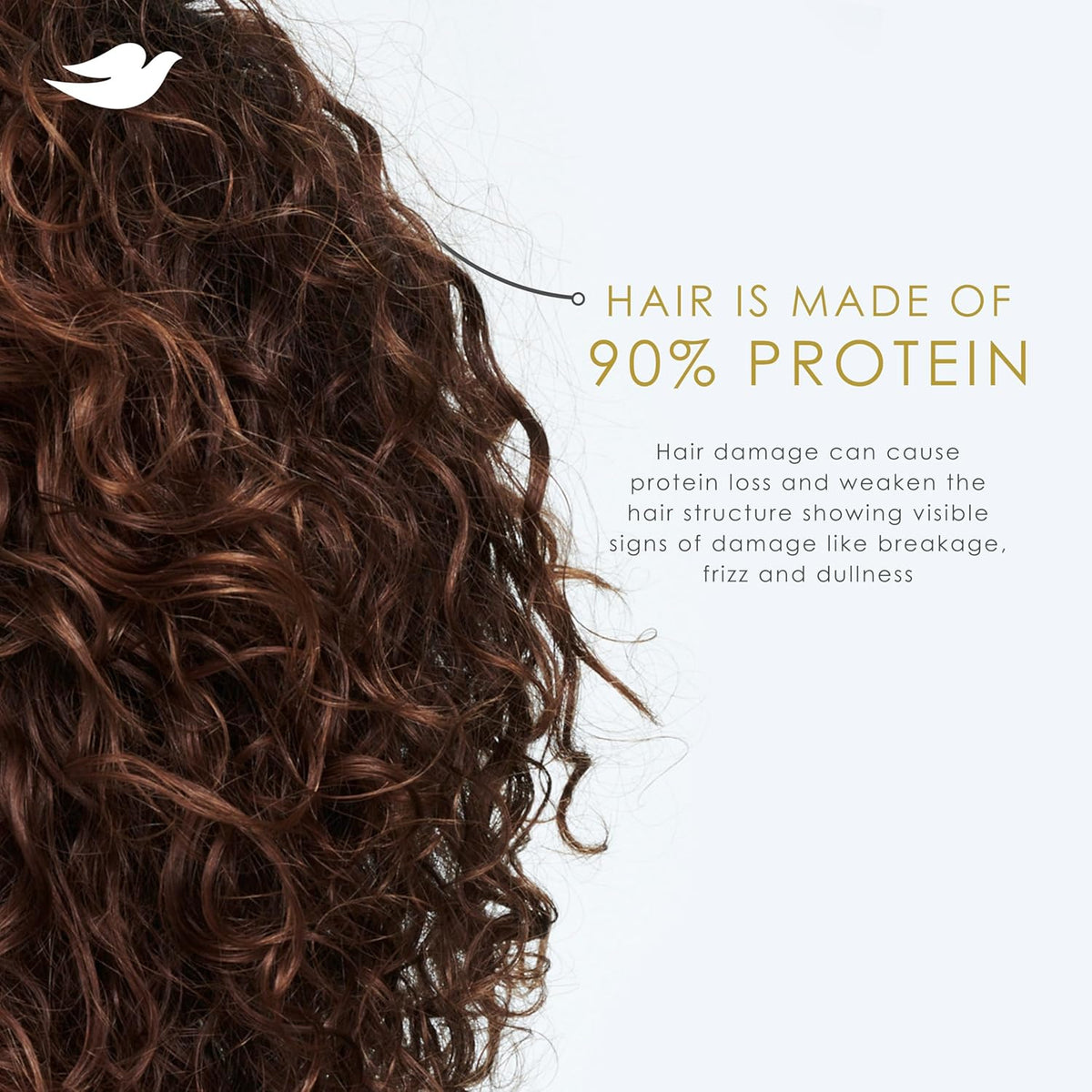 Conditioner Coconut & Hydration for Dry Hair Care, 28 Fl Oz